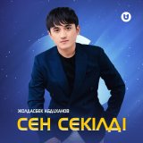 Песня Жолдасбек Абдиханов - Сен секілді