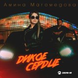 Песня Амина Магомедова - Дикое сердце