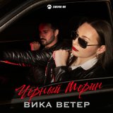 Песня Вика Ветер - Черный мерин