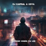 Песня Dj Kapral, Osya - Wonder Where You Are