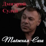 Песня Дмитрий Сулей - Белый лебедь