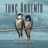 Песня Tunç Öndemir - Kırlangıçlar