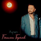 Песня Ferman Toprak - Aynen