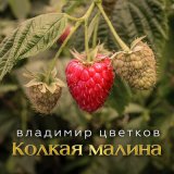 Песня Владимир Цветков - Чёрный крест