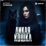 Песня Аслан Суюнов - Дикая кошка