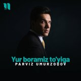 Песня Parviz Umurzoqov - Yur boramiz to'yiga