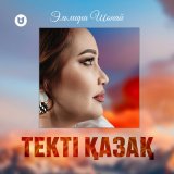 Песня Эльмира Шонай - Текті қазақ