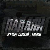 Песня Жучара Строгий, Tamuki - Падали