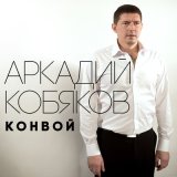 Песня Аркадий Кобяков - Унесите меня, журавли