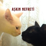 Песня Tolgahan Tarıoğlu - Aşkın Nefreti