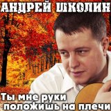 Песня Андрей Школин - Ловцы синиц