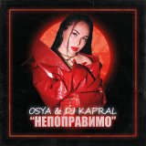 Песня Osya, DJ Kapral - Непоправимо